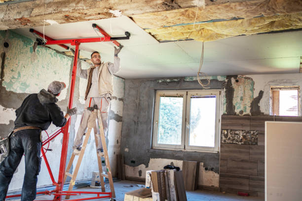 Best Eco-Friendly Insulation in Walker Mill, MD